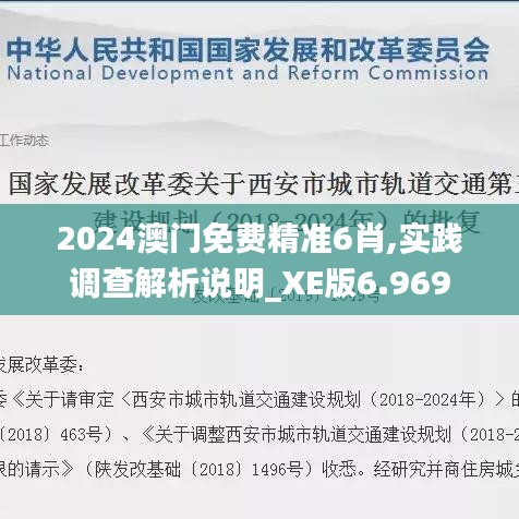 2024澳门免费精准6肖,实践调查解析说明_XE版6.969