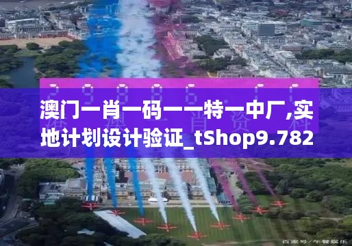 澳门一肖一码一一特一中厂,实地计划设计验证_tShop9.782