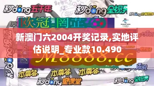 新澳门六2004开奖记录,实地评估说明_专业款10.490