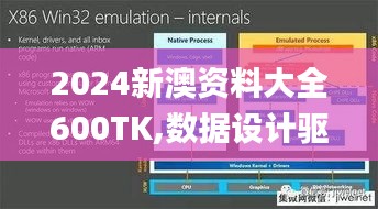 2024新澳资料大全600TK,数据设计驱动执行_WP15.255