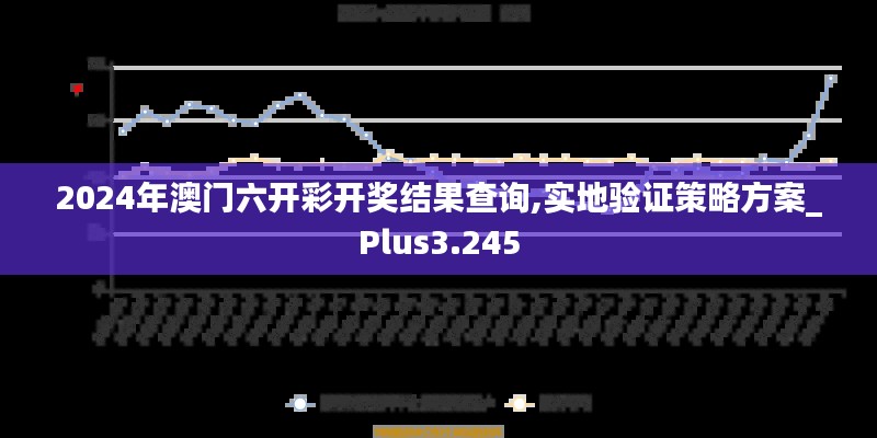 2024年澳门六开彩开奖结果查询,实地验证策略方案_Plus3.245