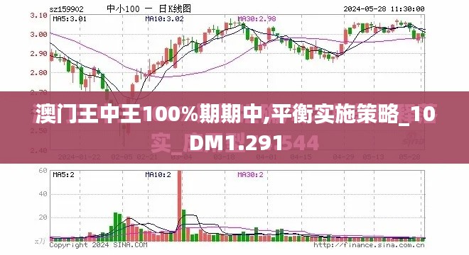 澳门王中王100%期期中,平衡实施策略_10DM1.291