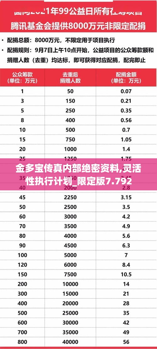 金多宝传真内部绝密资料,灵活性执行计划_限定版7.792