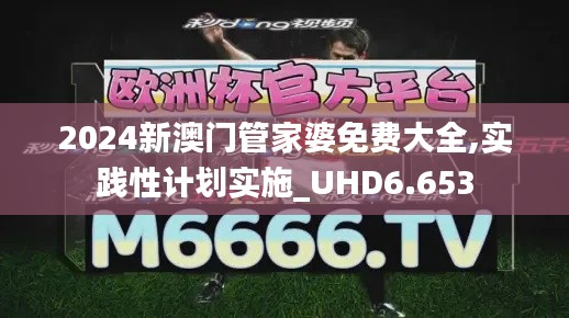 2024新澳门管家婆免费大全,实践性计划实施_UHD6.653