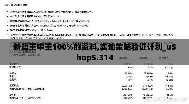 新澳王中王100%的资料,实地策略验证计划_uShop5.314