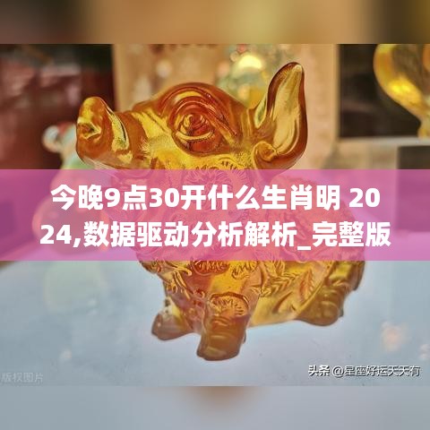 今晚9点30开什么生肖明 2024,数据驱动分析解析_完整版9.864