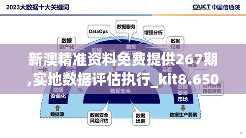 新澳精准资料免费提供267期,实地数据评估执行_kit8.650