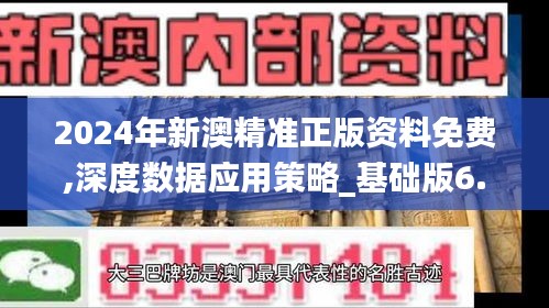 2024年新澳精准正版资料免费,深度数据应用策略_基础版6.313