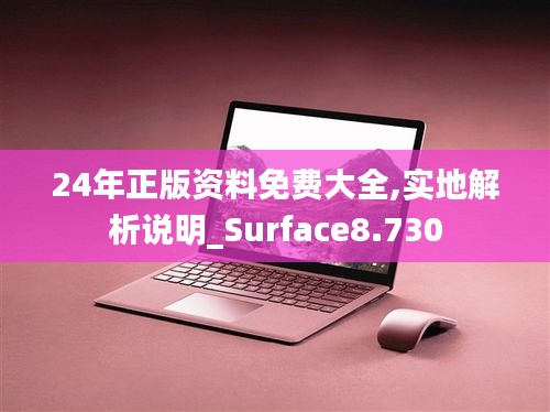 24年正版资料免费大全,实地解析说明_Surface8.730