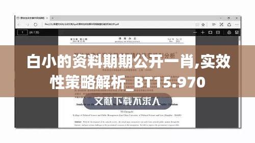 白小的资料期期公开一肖,实效性策略解析_BT15.970