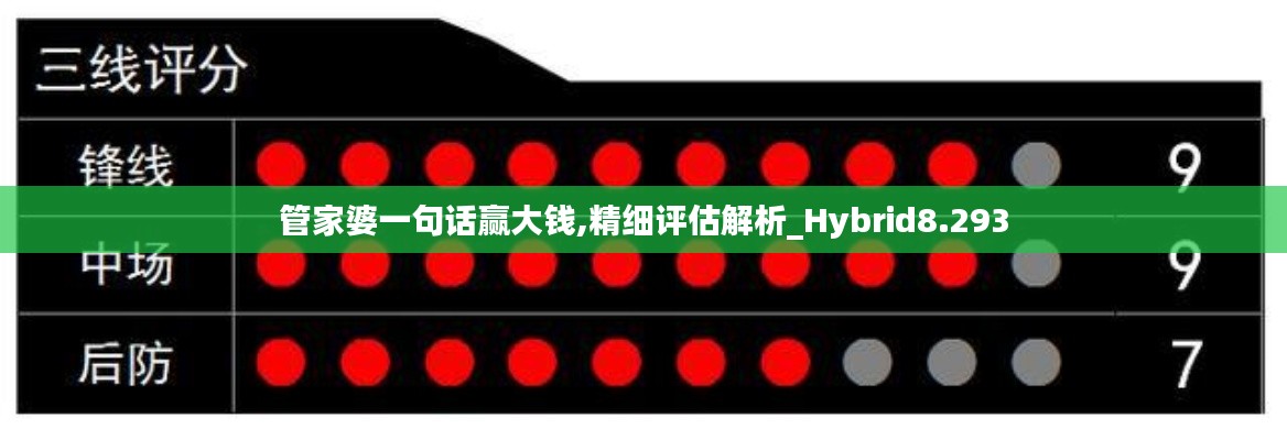 管家婆一句话赢大钱,精细评估解析_Hybrid8.293