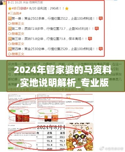 2024年管家婆的马资料,实地说明解析_专业版8.180