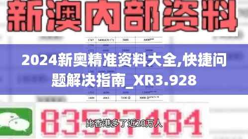 2024新奥精准资料大全,快捷问题解决指南_XR3.928