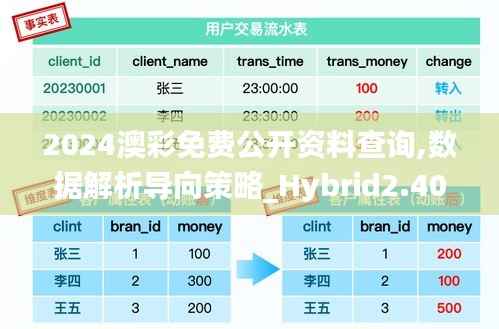 2024澳彩免费公开资料查询,数据解析导向策略_Hybrid2.400