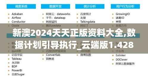 新澳2024天天正版资料大全,数据计划引导执行_云端版1.428