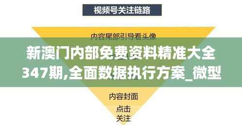 新澳门内部免费资料精准大全347期,全面数据执行方案_微型版6.164