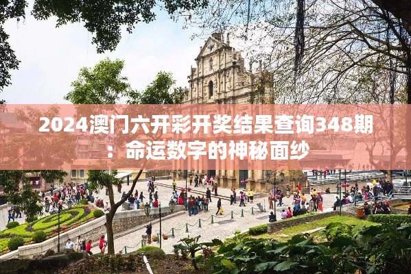 2024澳门六开彩开奖结果查询348期：命运数字的神秘面纱