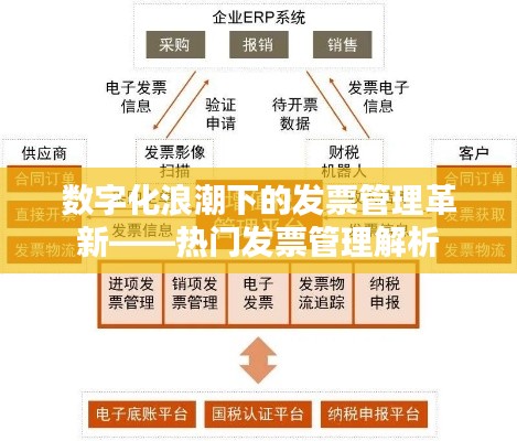 数字化浪潮下的发票管理革新——热门发票管理解析