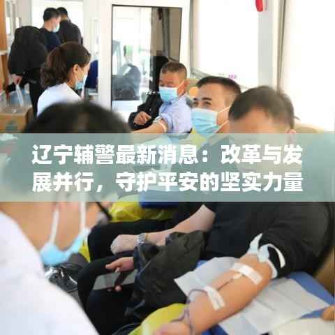辽宁辅警最新消息：改革与发展并行，守护平安的坚实力量
