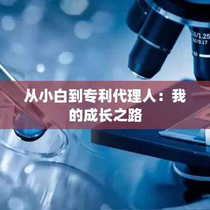 从小白到专利代理人：我的成长之路
