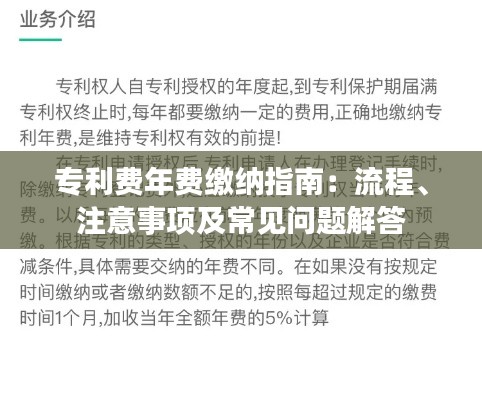 专利费年费缴纳指南：流程、注意事项及常见问题解答