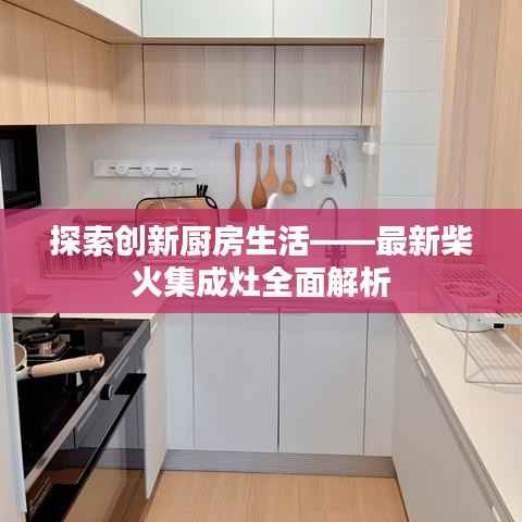 沉灶产蛙 第4页