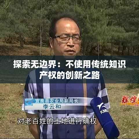 探索无边界:不使用传统知识产权的创新之路