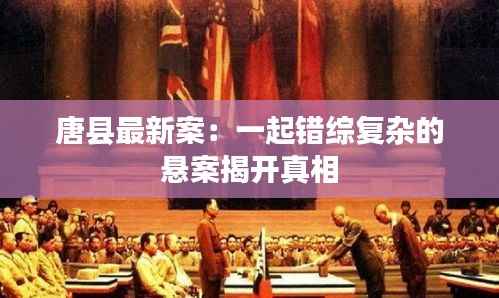唐县最新案:一起错综复杂的悬案揭开真相