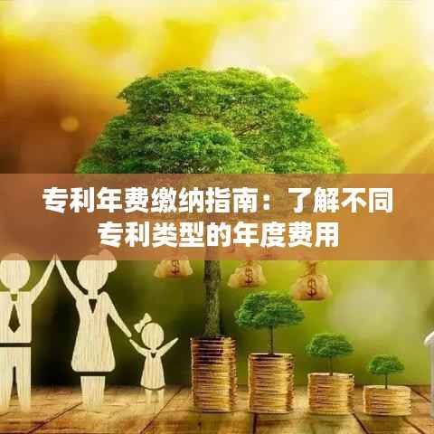 专利年费缴纳指南:了解不同专利类型的年度费用