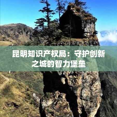 昆明知识产权局：守护创新之城的智力堡垒