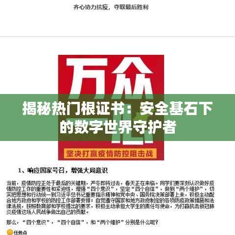 揭秘热门根证书：安全基石下的数字世界守护者