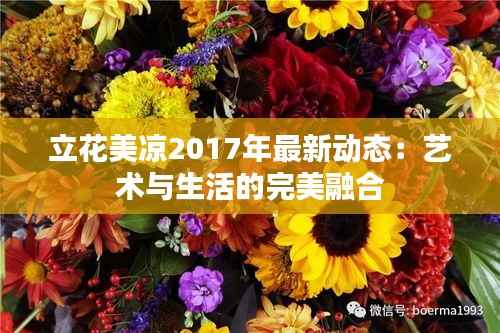 立花美凉2017年最新动态：艺术与生活的完美融合