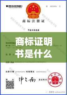 商标证明书是什么