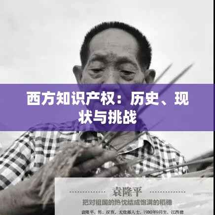 鸟语花香 第4页