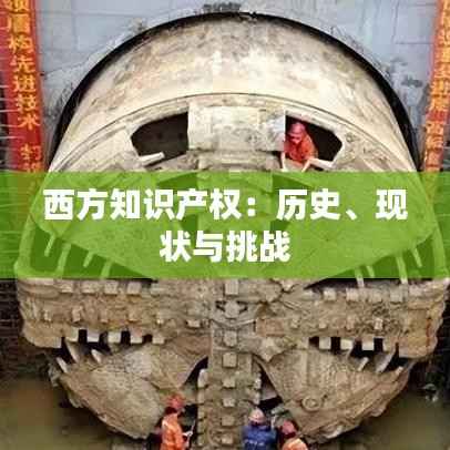 西方知识产权:历史、现状与挑战
