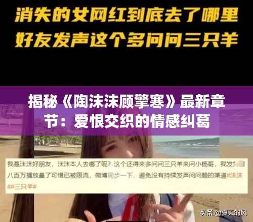 揭秘《陶沫沫顾擎寒》最新章节:爱恨交织的情感纠葛