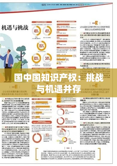 国中国知识产权:挑战与机遇并存