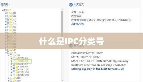什么是IPC分类号