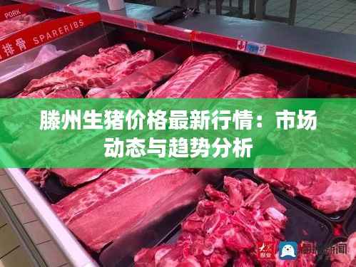 滕州生猪价格最新行情:市场动态与趋势分析