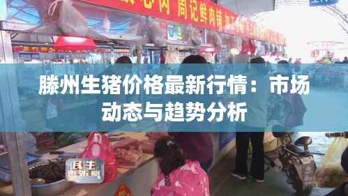 滕州生猪价格最新行情:市场动态与趋势分析
