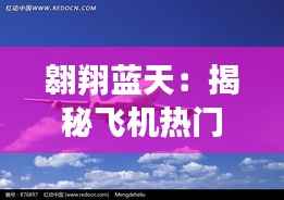 翱翔蓝天:揭秘飞机热门机型及其特点