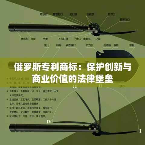 俄罗斯专利商标:保护创新与商业价值的法律堡垒