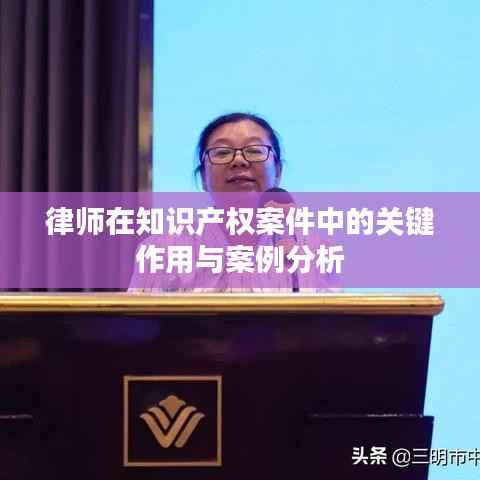 律师在知识产权案件中的关键作用与案例分析
