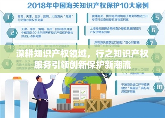 深耕知识产权领域,行之知识产权服务引领创新保护新潮流