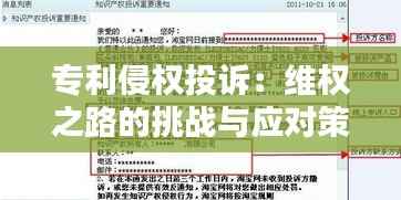 专利侵权投诉:维权之路的挑战与应对策略