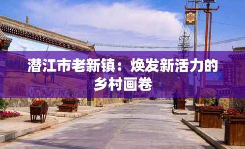 潜江市老新镇：焕发新活力的乡村画卷