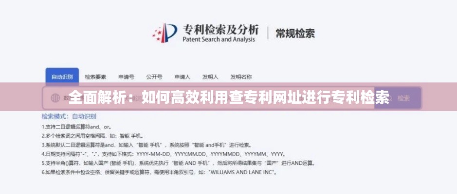 全面解析:如何高效利用查专利网址进行专利检索