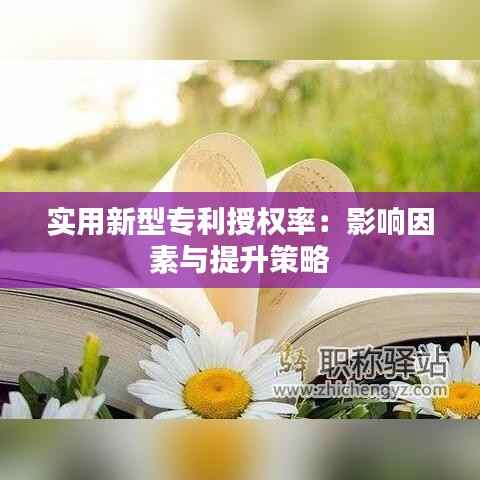 实用新型专利授权率：影响因素与提升策略