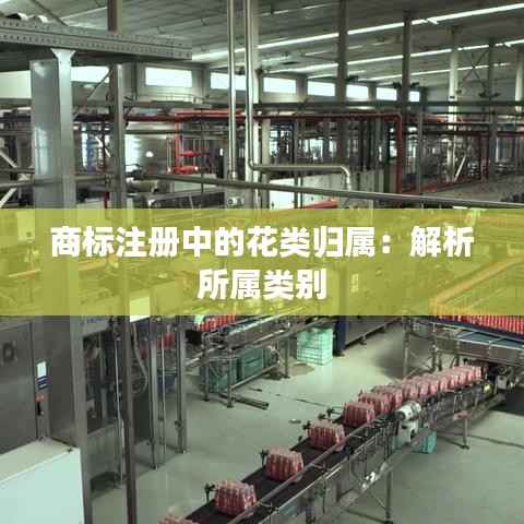 东成西就 第3页