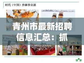 囊萤映雪 第4页